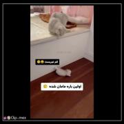:::::::::::::::::::::::::::::::::::::::::::