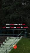 ما بعضی موقع ها شکست می خوریم ولی نباید زمین بخوریم