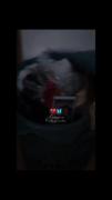الان نیست! چشام خیس!دلم ریش شده..:)🤝💔