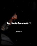قسنگه رفاقت اصن به همین کهنگیشه🫂💫