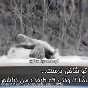 تو شاخی درست .. اما تا وقتی که طرفت من نباشم 😎