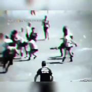 برو دنبال سگی مثل خودت بگرد ..