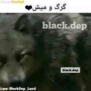 کلیپ خفن فیلم گرگ ومیش😰😰😰😰