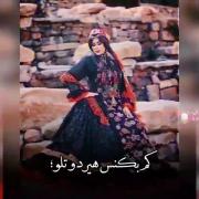 کوک گلم کموتره از مه و افتو بهتره