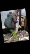 دم من پلاتین داره و هر کی هر چی دستشه