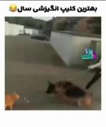 بهترین کلیپ انگیزشی سال....... 