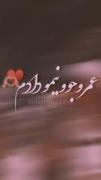 قید تموم دنیا رو بخاطر چشات زدم 
