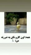 همه: اون کارو نکن. من....😂 🗿