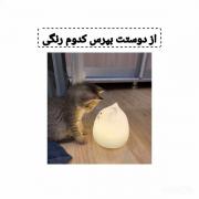 °•از دوستت بپرس کدوم رنگی؟:> •°