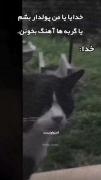 خدایا یا من پولدار بشم یا....'-'😂