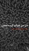 بی ط من حس میکنم تیرگی هاله ع رو ...!