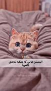 انیمیشن های که باید ببینی ‌‌‌‌‌‌‌ 