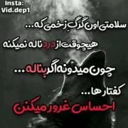 هیچ وقت توی این دونیای کوفتی لاشخور نباش 