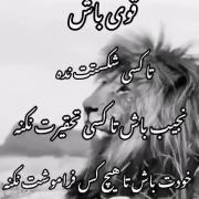 قوی باش در برار هرچیز وهرکسی زود شکست نخور
