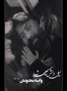 داداااااش خیلی زود بود ولی رفتنت😭🖤داداش ویدا داغون شدع کجایی؟