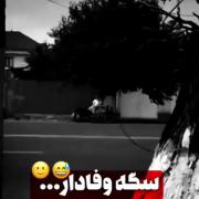 میگن نجـسه ولـی وفـاش از خـیلیا بیشتره...