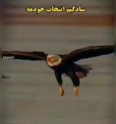 ــــــــــــــــــــــــــــ:(