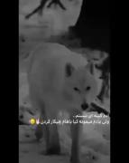 ــــــــــــــــــــــــــــــ