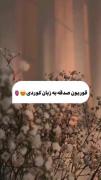 قوربون صدقه به زبان کوردی😍‌🫀