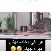 دورغ میگع بخندین😂😂 😂