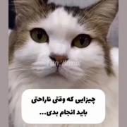 من برای تو اینجام هوم؟ ناراحت نباش باشه؟؟؟؟