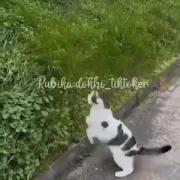 وای گوگییییییی😂😂