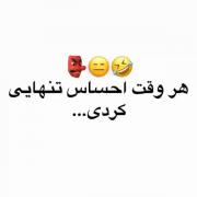 به احساس تنهایی نمی ارزه🤷🏼‍♀️😂😂
