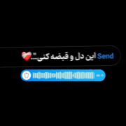 میدونی دلتنگی ینی چے؟ /: ینے با دیدَنع خَندش تو عکس گریَت بگیرع =(