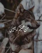 # موزیک ویدیو # فیلم 🎥🎥🎥🎥🎥🎥🎥