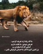 # موزیک ویدیو # فیلم 🎥🎥🎥🎥🎥🎥🎥