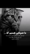 # موزیک ویدیو # فیلم 🎥🎥🎥🎥🎥🎥🎥