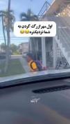 اول مهر از رگ گردن به شما نزدیک تره🥲🤣✋
