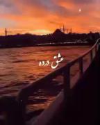 گیرم ز خلق روی به هامون کند کسی از دست خود کجا رود و چون کند کسی