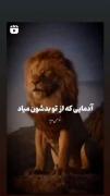 اونایی که اذیت متنفرن بیشتر نگات میکنن….