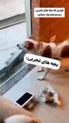 کسایی ک تجربی هستن میفهمن✋😂‌‌‌ 