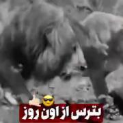 مثل تصویز شیر باش تا کسی نتونه حریفت باشه 💪