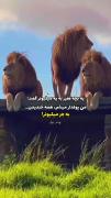 گاد بود OK