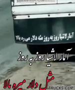 آمار لاشی هم مث دولار میره بالا