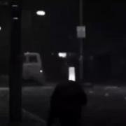 ژیانی امش هر وکو کارتونی پتو مته💔