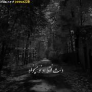 دلم تنگ شده واست.................