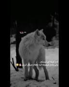 ادم کینه ای نیسم فقد یادم نمیره کیا باهام چیکار کردن 🥀🖤🚬