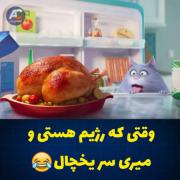 وقتی رژیم هستی و ‍‌‍‌‍‌‍‌‍‌‍‌‍