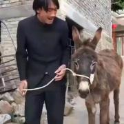 خره از اینهمه خر بودن طرف تعجب کرده 🤣🤣🤣🤣