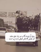 پیری آن نیست که بر سر بزند موی سفید 