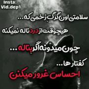 سلامتی گرگ!!!!!!!!!!!!!!!!!!!!