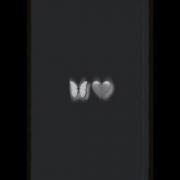 بُرُوّ تَنِهّاًمِ بِزّاًرِ....