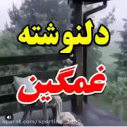 دل نوشته غمگین احساسی تو یه روز میفهمی...