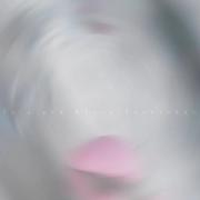 میمونیم منو ط تا تهش، مهم نی صبحو شبش🦋💕