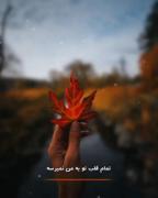 .....و تو قرار تموم بی قراریهامی♡