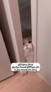 ‌‌‌‌‌‌‌‌‌‌‌‌‌‌‌‌‌‌‌‌‌‌‌‌‌‌‌‌‌‌‌‌‌‌‌‌‌‌‌‌‌‌